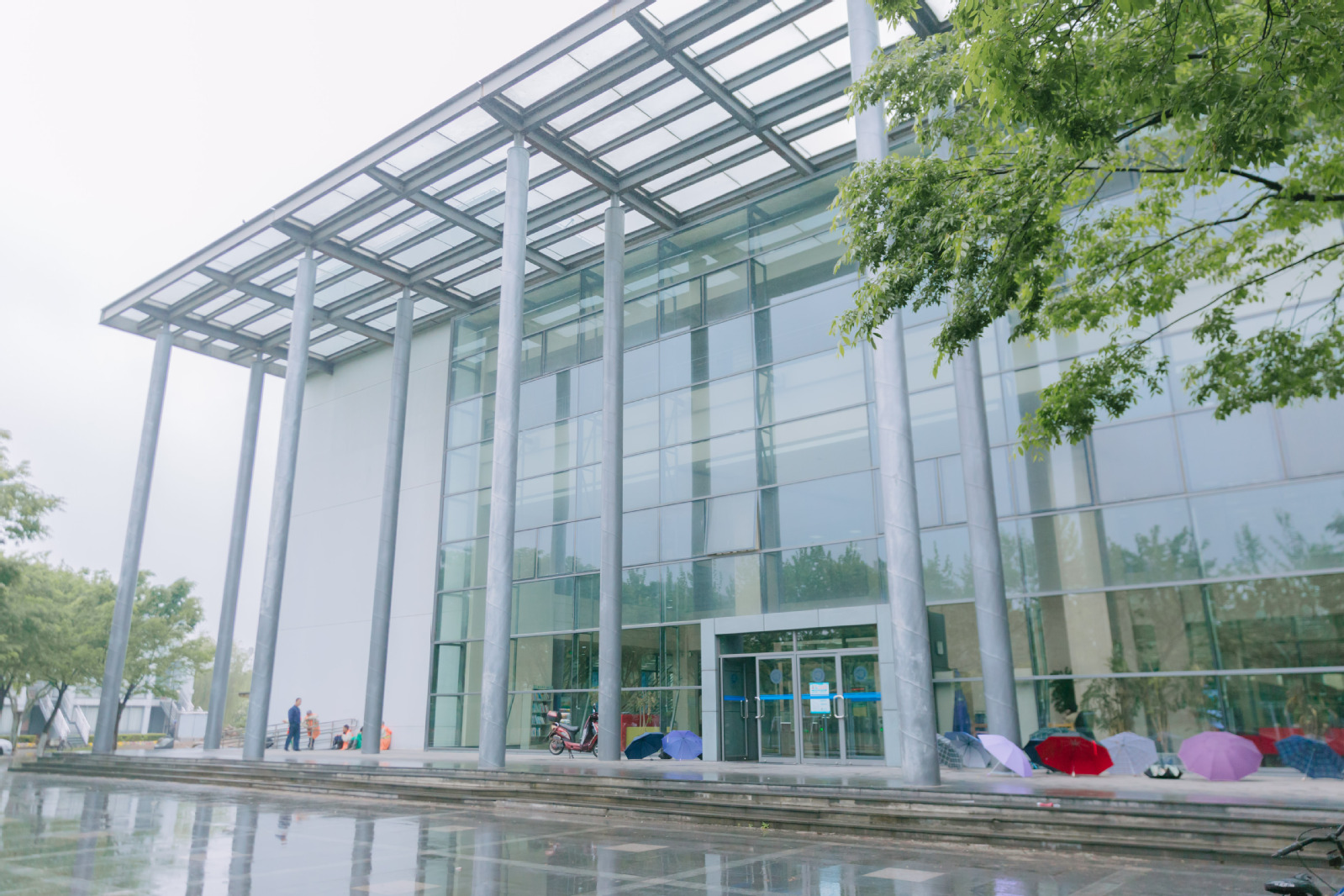 复旦大学