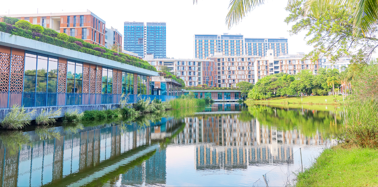 南方科技大学